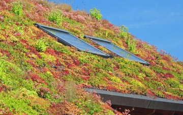 Potton living roof systems