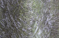 Potton fibreglass roof work